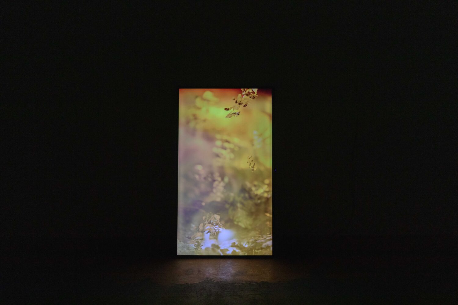 I Will Keep You Right Here - Treignac Projet