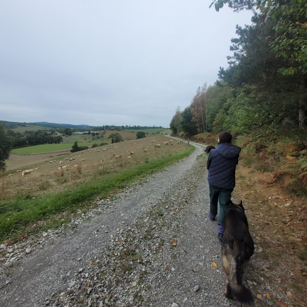 Helen Baril/ cinema - Treignac Projet